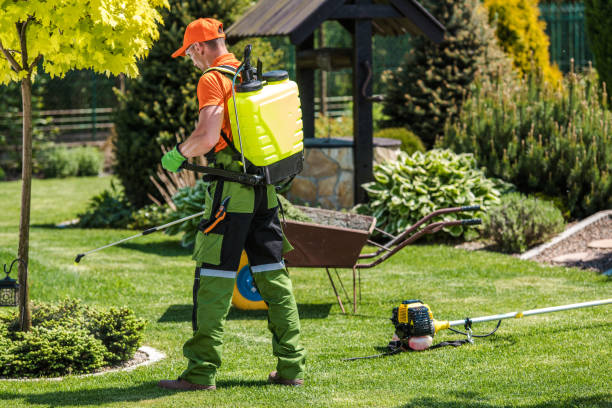 Best Lawn Pest Control  in Carey, OH